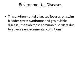 Environmental Diseases
• This environmental diseases focuses on swim
bladder stress syndrome and gas bubble
disease, the two most common disorders due
to adverse environmental conditions.
 