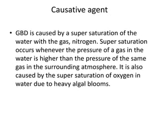 Causative agent
• GBD is caused by a super saturation of the
water with the gas, nitrogen. Super saturation
occurs whenever the pressure of a gas in the
water is higher than the pressure of the same
gas in the surrounding atmosphere. It is also
caused by the super saturation of oxygen in
water due to heavy algal blooms.
 