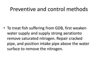Preventive and control methods
• To treat fish suffering from GDB, first weaken
water supply and supply strong aerationto
remove saturated nitrogen. Repair cracked
pipe, and position intake pipe above the water
surface to remove the nitrogen.
 