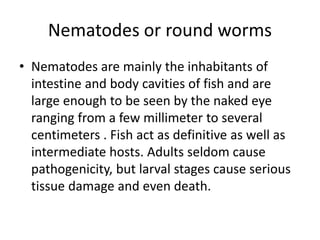 Nematodes or round worms
• Nematodes are mainly the inhabitants of
intestine and body cavities of fish and are
large enough to be seen by the naked eye
ranging from a few millimeter to several
centimeters . Fish act as definitive as well as
intermediate hosts. Adults seldom cause
pathogenicity, but larval stages cause serious
tissue damage and even death.
 