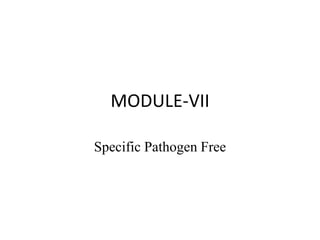 MODULE-VII
Specific Pathogen Free
 
