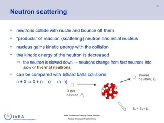 Comprehensive Basic Professional Training in Nuclear Physics and ...