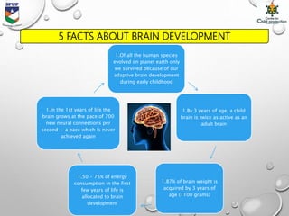 5 FACTS ABOUT BRAIN DEVELOPMENT
1.Of all the human species
evolved on planet earth only
we survived because of our
adaptive brain development
during early childhood
1.By 3 years of age, a child
brain is twice as active as an
adult brain
1.87% of brain weight is
acquired by 3 years of
age (1100 grams)
1.50 - 75% of energy
consumption in the first
few years of life is
allocated to brain
development
1.In the 1st years of life the
brain grows at the pace of 700
new neural connections per
second-- a pace which is never
achieved again
 