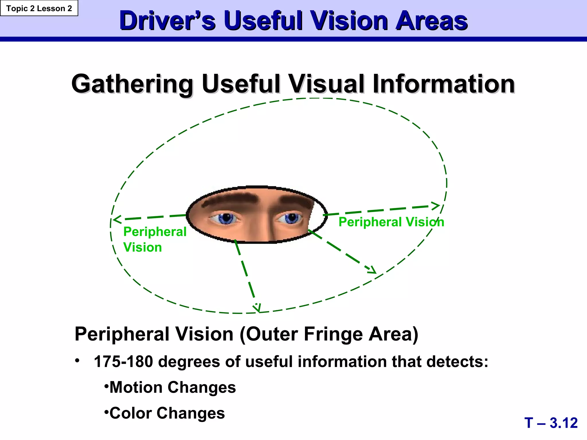 Driver’s Useful Vision AreasDriver’s Useful Vision Areas
Gathering Useful Visual InformationGathering Useful Visual Information
T – 3.12
Topic 2 Lesson 2
Peripheral
Vision
Peripheral Vision
Peripheral Vision (Outer Fringe Area)
• 175-180 degrees of useful information that detects:
•Motion Changes
•Color Changes
 