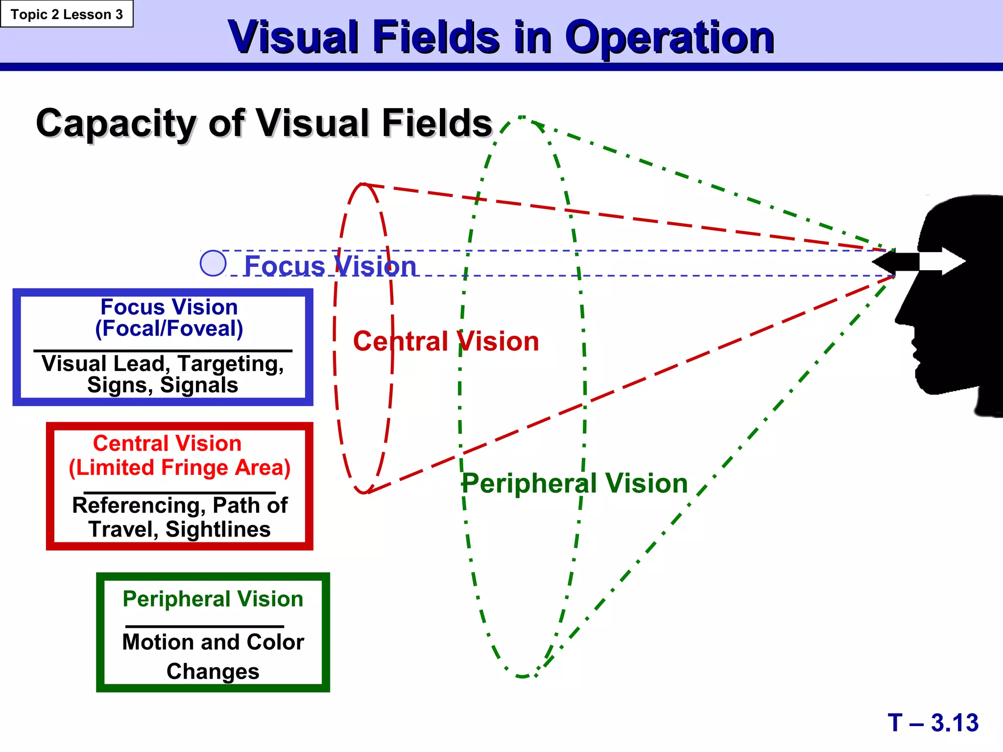 Capacity of Visual FieldsCapacity of Visual Fields
Focus Vision
Central Vision
Peripheral Vision
Peripheral Vision
Motion and Color
Changes
Focus Vision
(Focal/Foveal)
Visual Lead, Targeting,
Signs, Signals
Central Vision
(Limited Fringe Area)
Referencing, Path of
Travel, Sightlines
Visual Fields in OperationVisual Fields in Operation
T – 3.13
Topic 2 Lesson 3
 