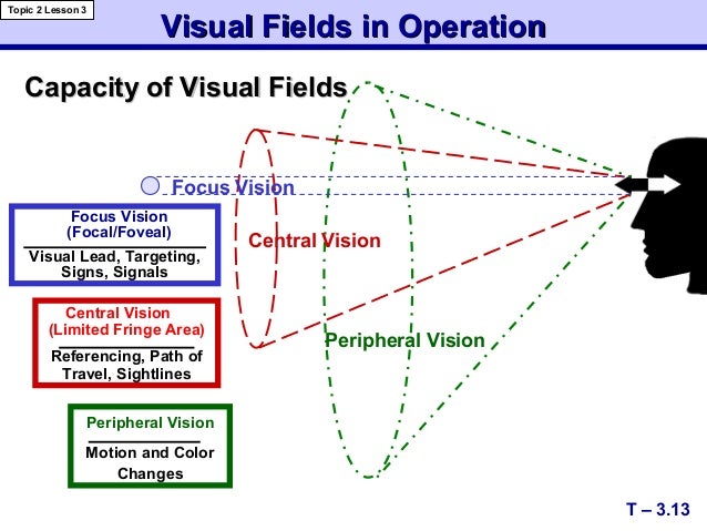Is The Type Of Vision Useful In Sensing Motion Module 03 2004