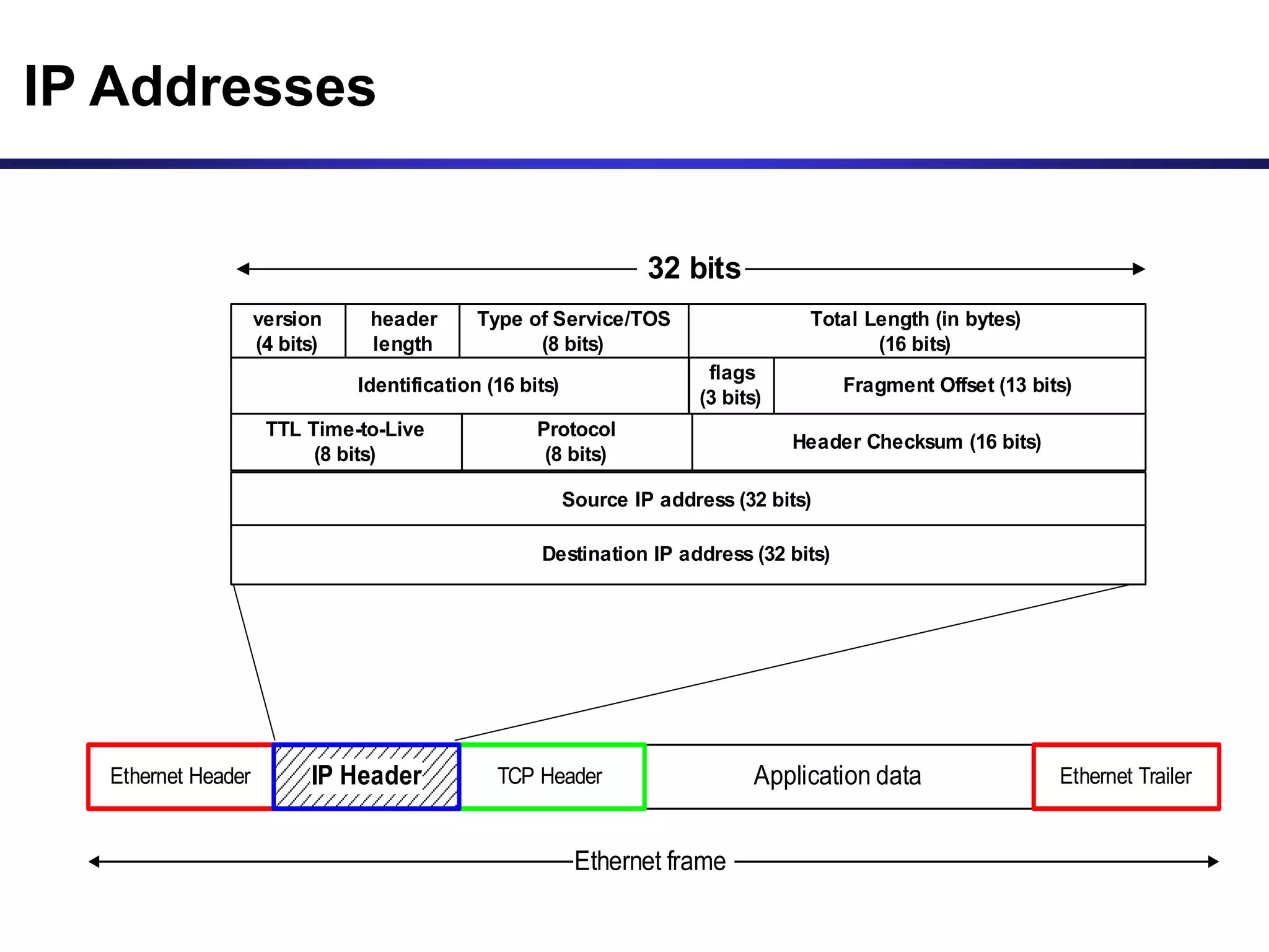 IP Addresses
Application data
TCP Header
Ethernet Header Ethernet Trailer
Ethernet frame
IP Header
version
(4 bits)
header
length
Type of Service/TOS
(8 bits)
Total Length (in bytes)
(16 bits)
Identification (16 bits)
flags
(3 bits)
Fragment Offset (13 bits)
Source IP address (32 bits)
Destination IP address (32 bits)
TTL Time-to-Live
(8 bits)
Protocol
(8 bits)
Header Checksum (16 bits)
32 bits
 