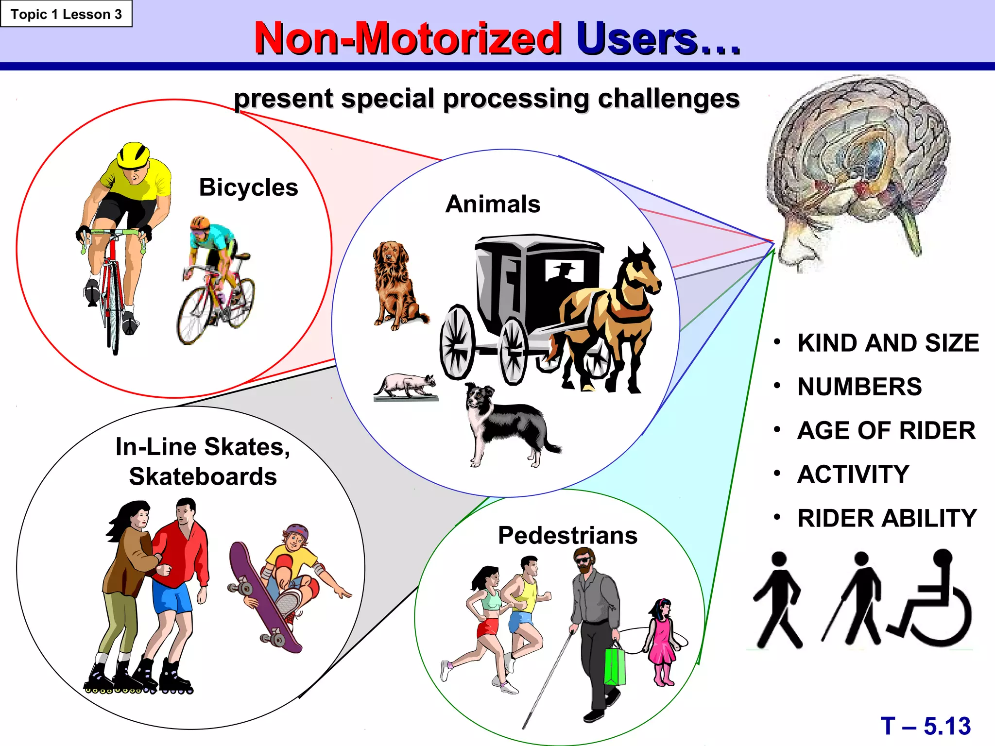Non-MotorizedNon-Motorized Users…Users…
• KIND AND SIZE
• NUMBERS
• AGE OF RIDER
• ACTIVITY
• RIDER ABILITY
In-Line Skates,
Skateboards
Pedestrians
Bicycles
T – 5.13
Topic 1 Lesson 3
present special processing challengespresent special processing challenges
Animals
 
