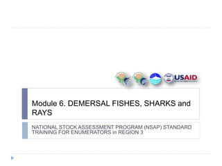 Module 6. DEMERSAL FISHES, SHARKS and
RAYS
NATIONAL STOCK ASSESSMENT PROGRAM (NSAP) STANDARD
TRAINING FOR ENUMERATORS in REGION 3
 