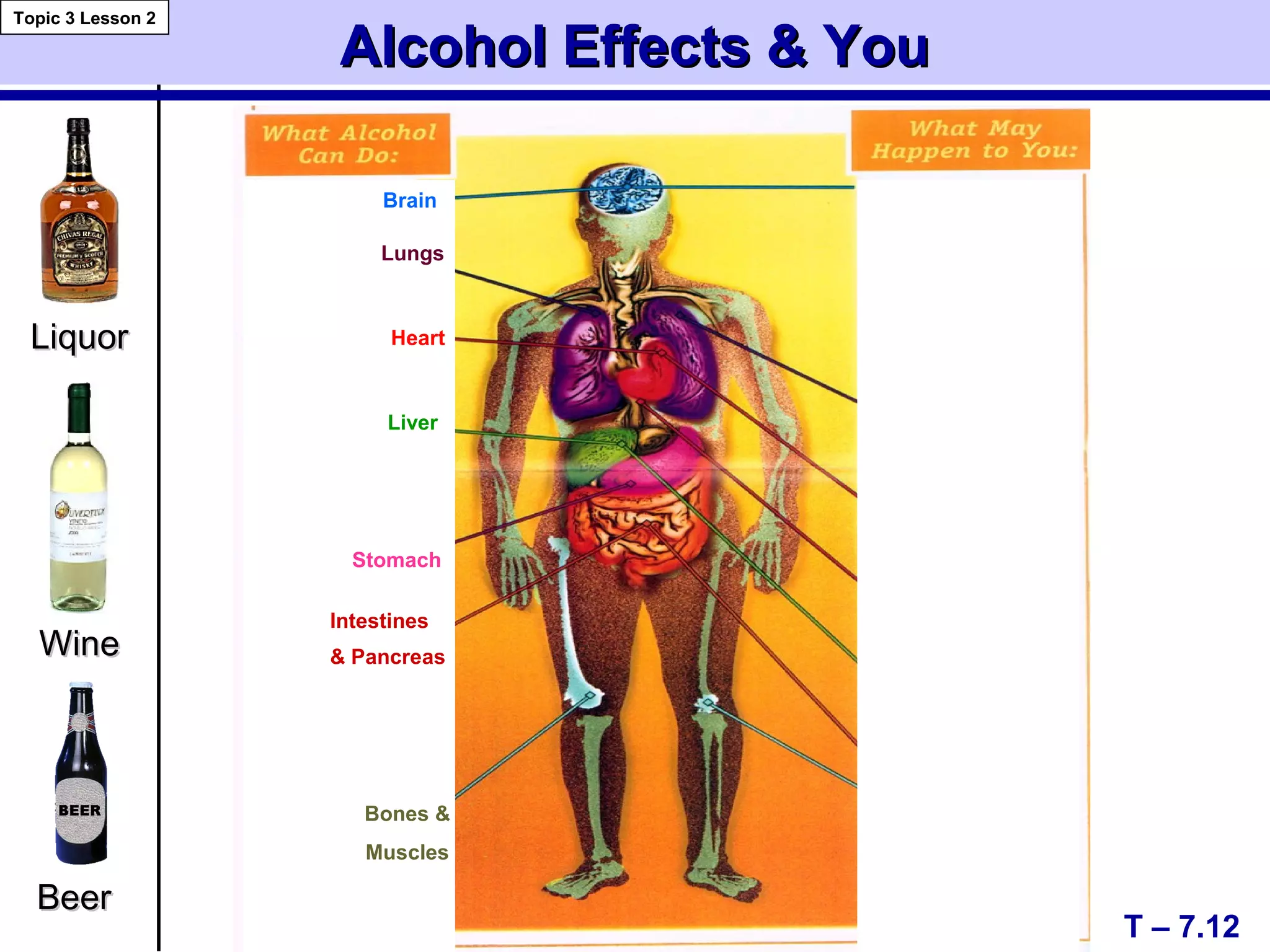 Alcohol Effects & YouAlcohol Effects & You
T – 7.12
Topic 3 Lesson 2
LiquorLiquor
WineWine
BeerBeer
Brain
Lungs
Heart
Liver
Stomach
Intestines
& Pancreas
Bones &
Muscles
 
