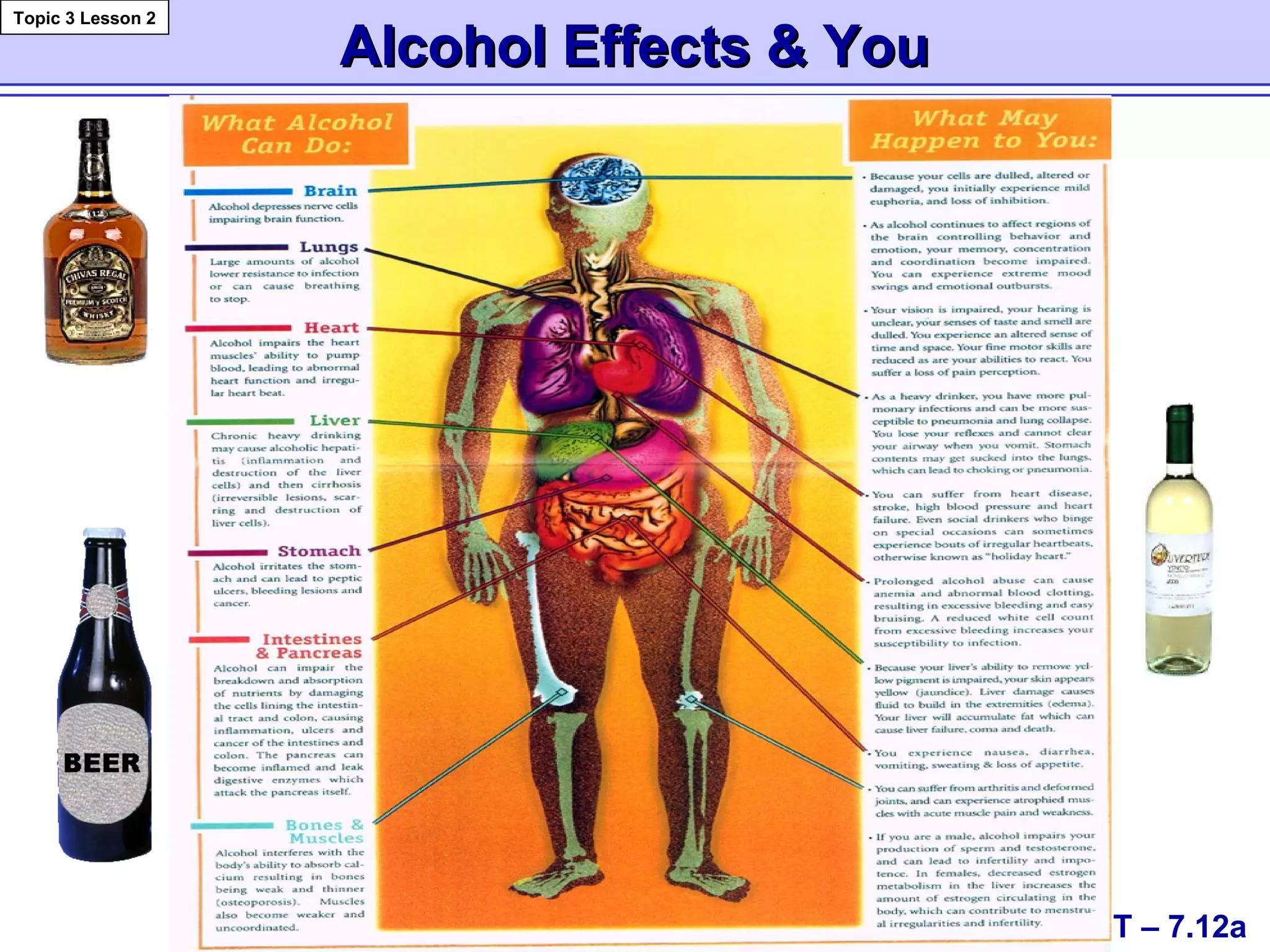 Alcohol Effects & YouAlcohol Effects & You
Topic 3 Lesson 2
T – 7.12a
 