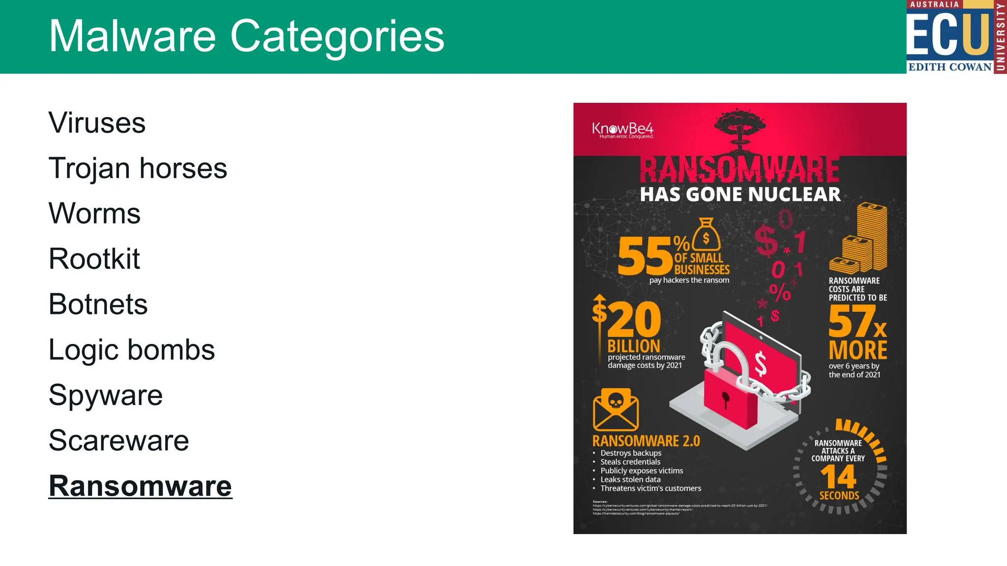 Viruses
Trojan horses
Worms
Rootkit
Botnets
Logic bombs
Spyware
Scareware
Ransomware
Malware Categories
 