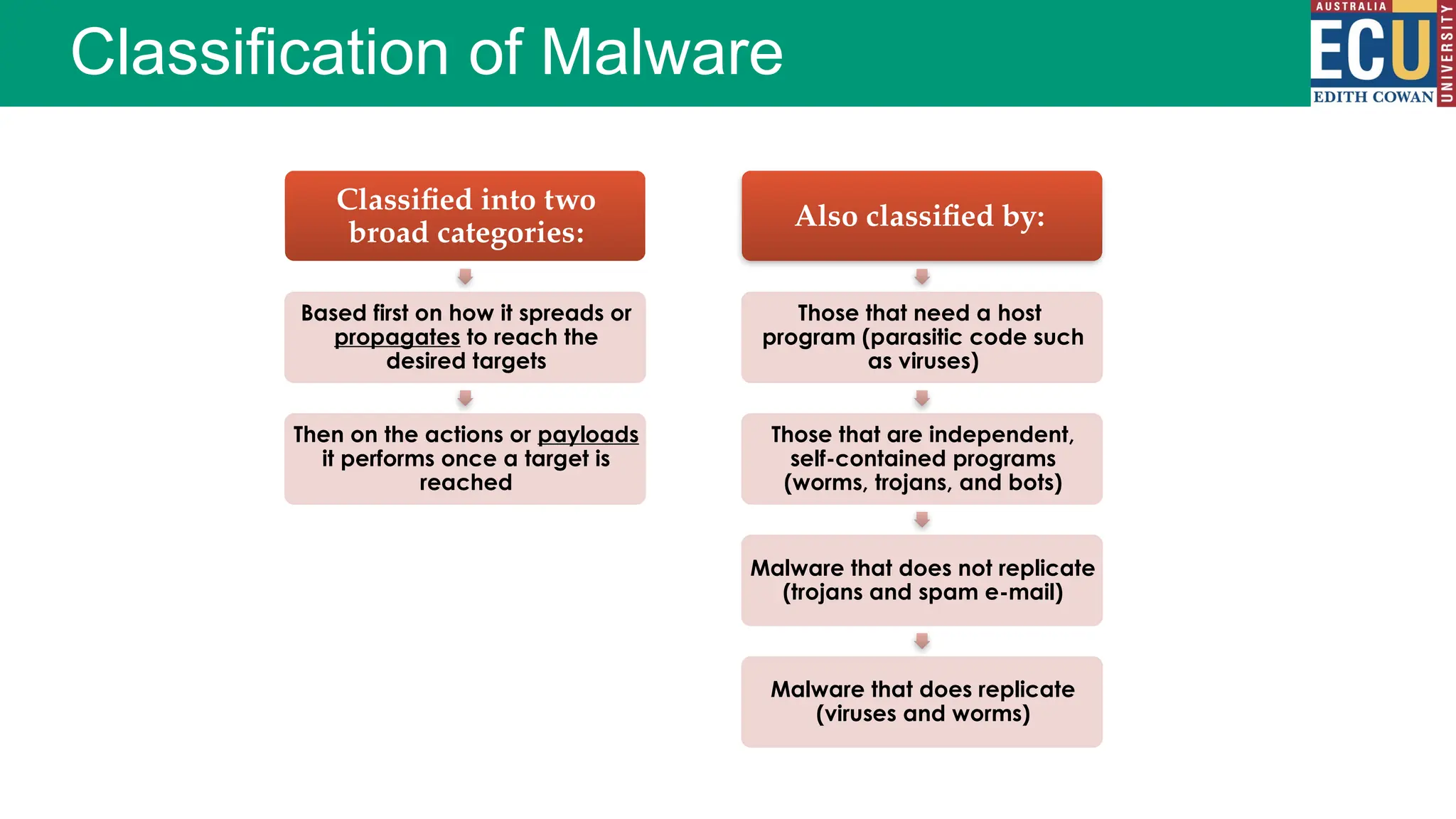 Classification of Malware
Classified into two
broad categories:
Based first on how it spreads or
propagates to reach the
desired targets
Then on the actions or payloads
it performs once a target is
reached
Also classified by:
Those that need a host
program (parasitic code such
as viruses)
Those that are independent,
self-contained programs
(worms, trojans, and bots)
Malware that does not replicate
(trojans and spam e-mail)
Malware that does replicate
(viruses and worms)
 