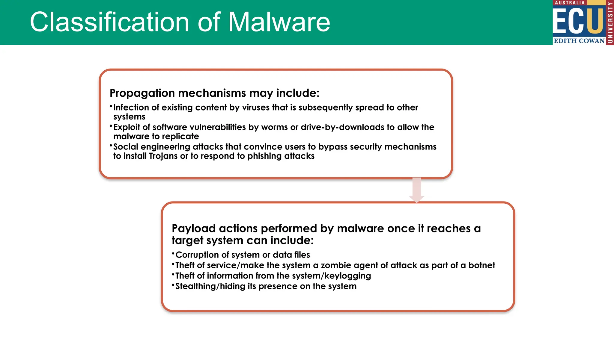 Classification of Malware
Propagation mechanisms may include:
•Infection of existing content by viruses that is subsequently spread to other
systems
•Exploit of software vulnerabilities by worms or drive-by-downloads to allow the
malware to replicate
•Social engineering attacks that convince users to bypass security mechanisms
to install Trojans or to respond to phishing attacks
Payload actions performed by malware once it reaches a
target system can include:
•Corruption of system or data files
•Theft of service/make the system a zombie agent of attack as part of a botnet
•Theft of information from the system/keylogging
•Stealthing/hiding its presence on the system
 