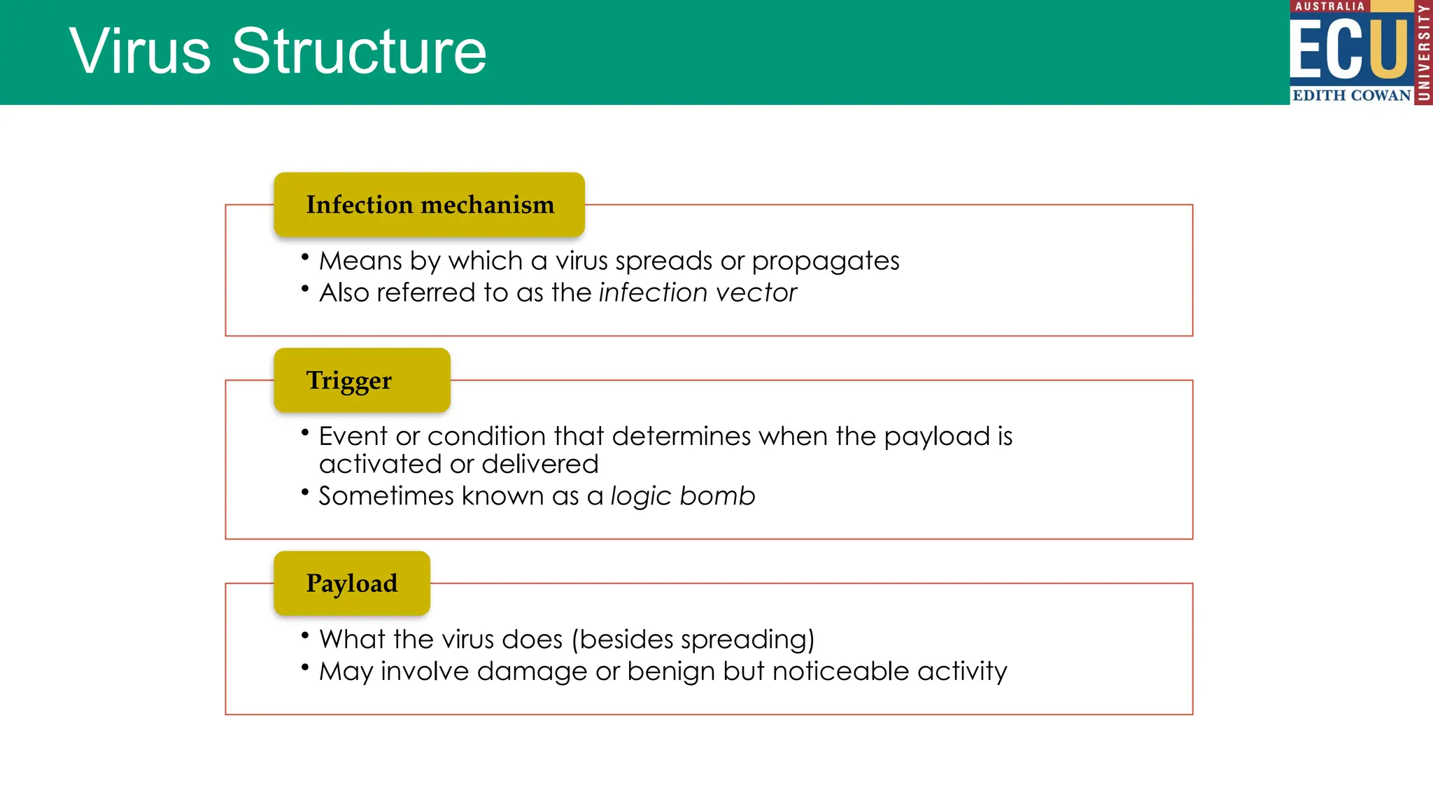 Virus Structure
• Means by which a virus spreads or propagates
• Also referred to as the infection vector
Infection mechanism
• Event or condition that determines when the payload is
activated or delivered
• Sometimes known as a logic bomb
Trigger
• What the virus does (besides spreading)
• May involve damage or benign but noticeable activity
Payload
 