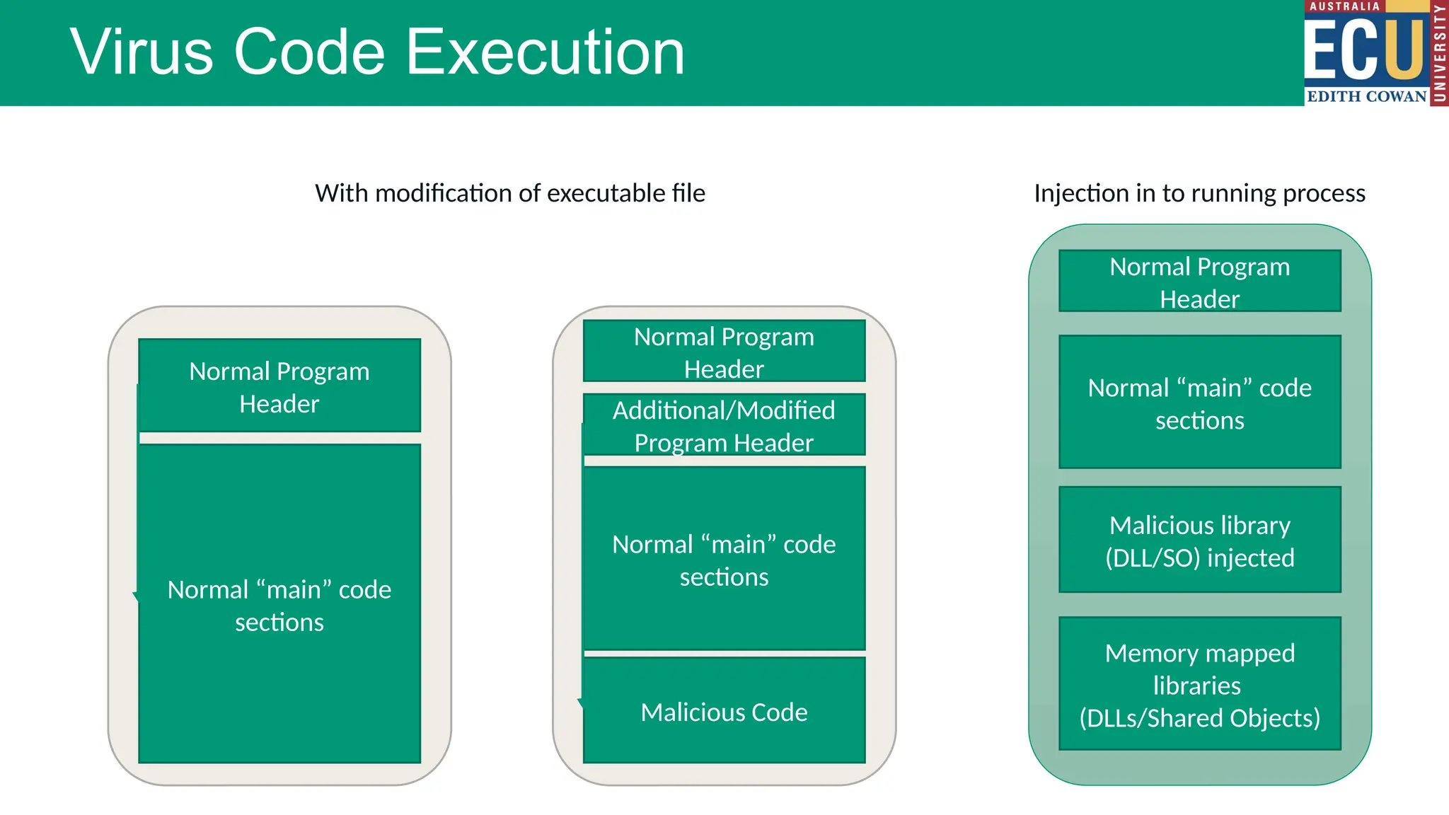 Virus Code Execution
Normal Program
Header
Normal “main” code
sections
Additional/Modified
Program Header
Normal “main” code
sections
Malicious Code
Normal Program
Header
Normal “main” code
sections
Malicious library
(DLL/SO) injected
Normal Program
Header
Memory mapped
libraries
(DLLs/Shared Objects)
With modification of executable file Injection in to running process
 
