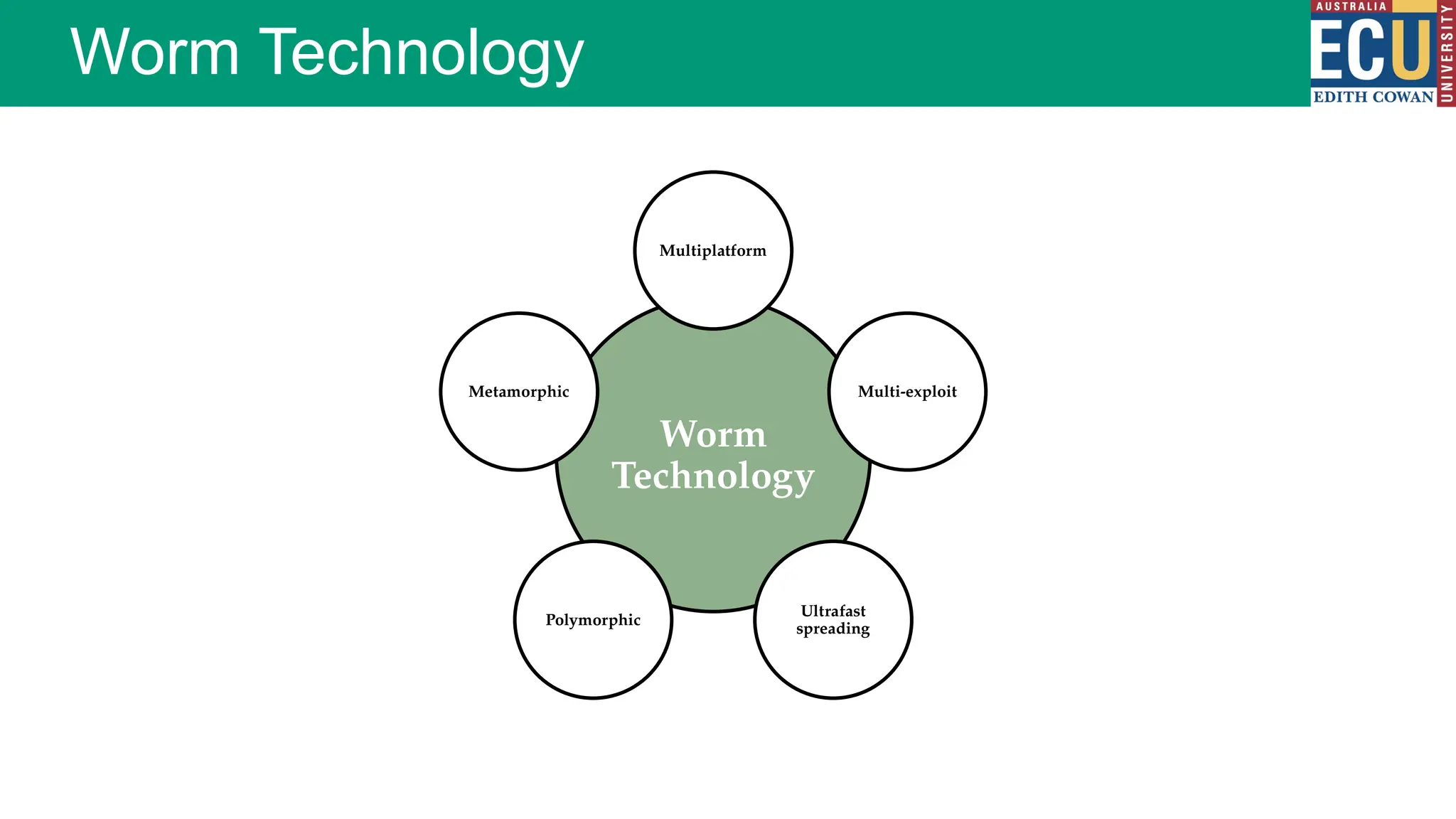 Worm Technology
Worm
Technology
Multiplatform
Multi-exploit
Ultrafast
spreading
Polymorphic
Metamorphic
 