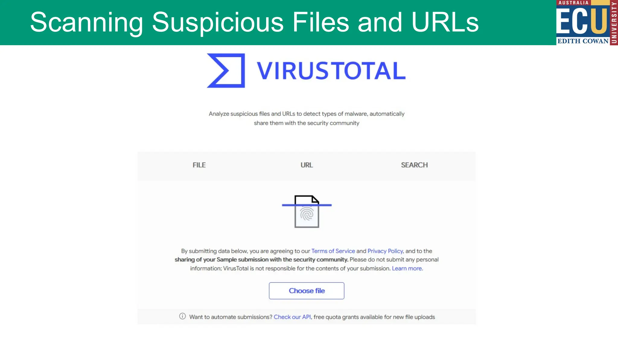 Scanning Suspicious Files and URLs
 