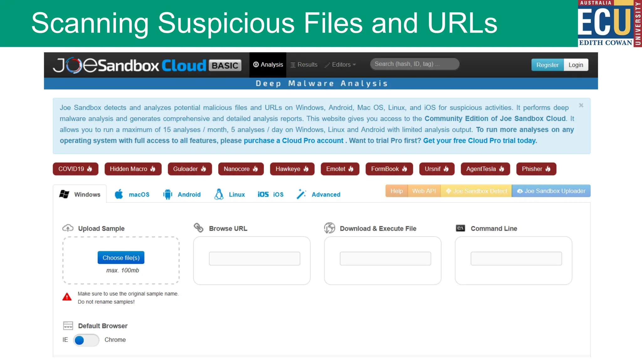 Scanning Suspicious Files and URLs
 