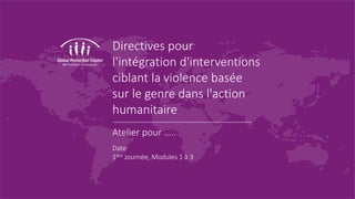 Directives pour
l'intégration d'interventions
ciblant la violence basée
sur le genre dans l'action
humanitaire
Atelier pour …..
Date
1ère Journée, Modules 1 à 3
 
