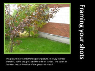 Framing your shotsThis picture represents framing your picture. The way the tree branches, frame the grass and the side for school. The colors of the trees match the color of the grass and school.