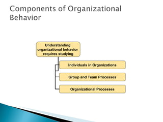 Understanding  organizational behavior  requires studying Individuals in Organizations Group and Team Processes Organizational Processes 