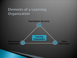 Learning Organization Open Information Empowered Employees Team-Based  Structure 