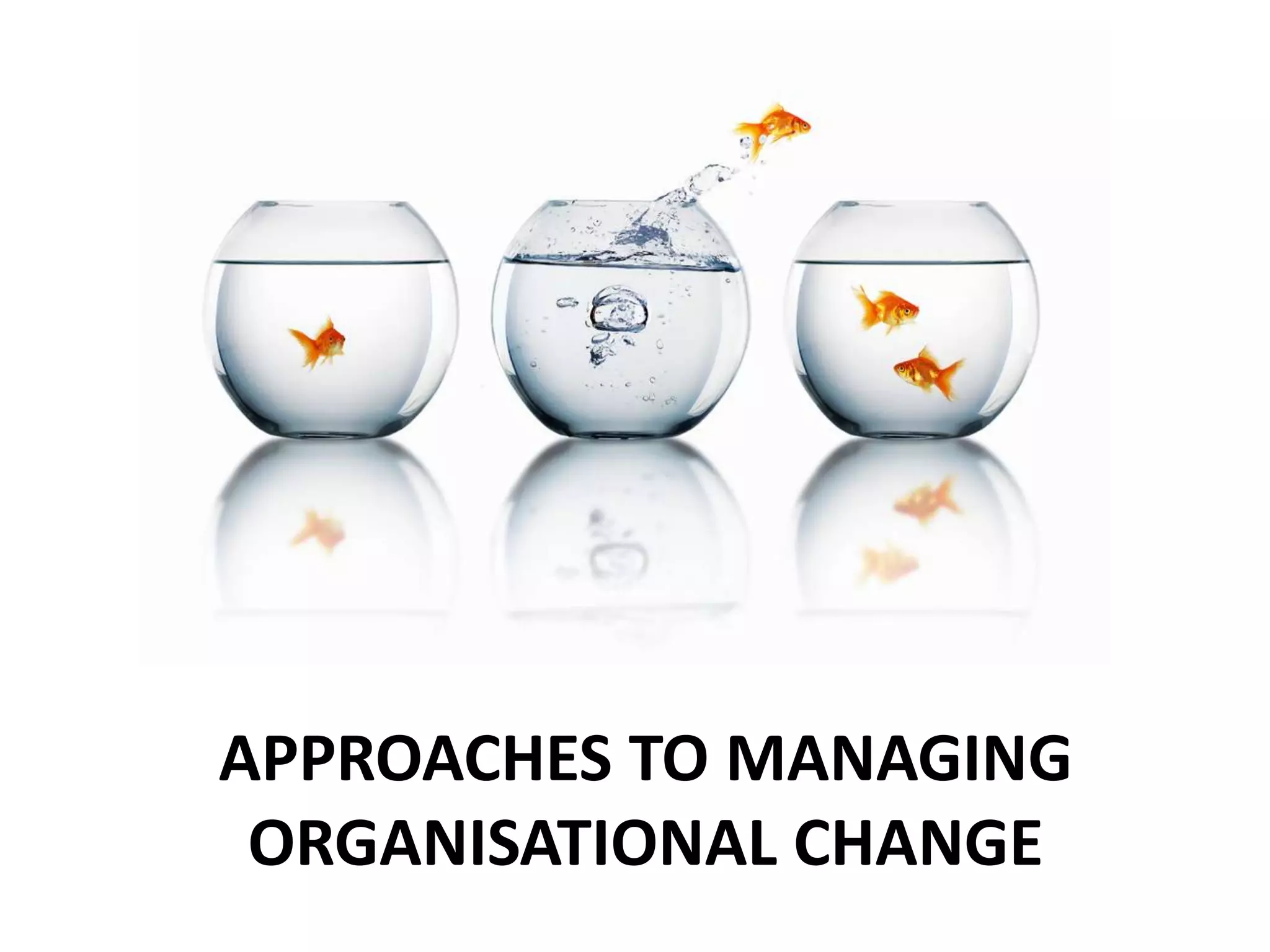 APPROACHES TO MANAGING
ORGANISATIONAL CHANGE
 