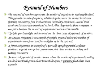 Introduction, environment, ecosystem, ecological pyramids | PPTX
