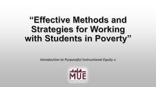 Introduction to Purposeful Instructional Equity ©
 