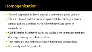 Cell Disruption | PPTX