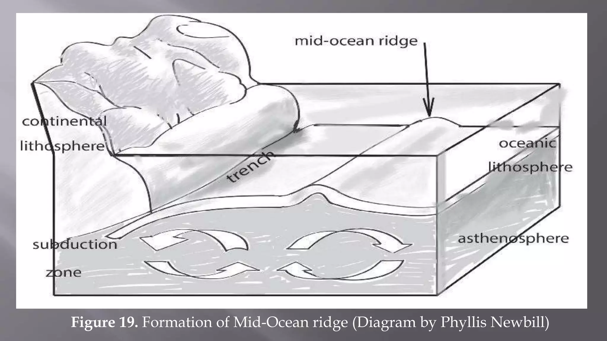 Figure 19. Formation of Mid-Ocean ridge (Diagram by Phyllis Newbill)
 