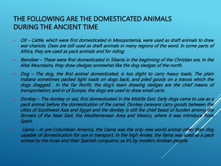 THE FOLLOWING ARE THE DOMESTICATED ANIMALS
DURING THE ANCIENT TIME
 OX – Cattle, which were first domesticated in Mesopotamia, were used as draft animals to draw
war chariots. Oxen are still used as draft animals in many regions of the word. In some parts of
Africa, they are used as pack animals and for riding.
 Reindeer – These were first domesticated in Siberia in the beginning of the Christian era. In the
Altai Mountains, they draw sledges somewhat like the dog sledges of the north.
 Dog – The dog, the first animal domesticated, is too slight to carry heavy loads. The plain
Indiana sometimes packed light loads on dogs back, and piled goods on a travois which the
dogs dragged. In the Far North, the dog’s team drawing sledges are the chief means of
transportation; and in of Europe, the dogs are used to draw small carts.
 Donkey – The donkey or ass, first domesticated in the Middle East. Early dogs came to use as a
pack animal before the domestication of the camel. Donkey caravans carry goods between the
cities of Southwest Asia and Egypt and the donkey is still the chief beast of burden among the
farmers of the Near East, the Mediterranean Area and Mexico, where it was introduce from
Spain.
 Llama – In pre-Columbian America, the Llama was the only new world animal other than dog
capable of domestication for use in transport. In the high Andes, the llama was used as a pack
animal by the Incas and their Spanish conqueror, as it’s by modern Andean people.
 