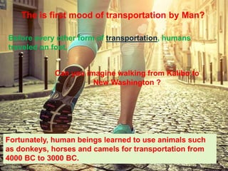 The is first mood of transportation by Man?
Before every other form of transportation, humans
traveled on foot.
Can you imagine walking from Kalibo to
New Washington ?
Fortunately, human beings learned to use animals such
as donkeys, horses and camels for transportation from
4000 BC to 3000 BC.
 