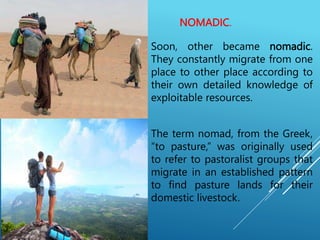 NOMADIC.
Soon, other became nomadic.
They constantly migrate from one
place to other place according to
their own detailed knowledge of
exploitable resources.
The term nomad, from the Greek,
“to pasture,” was originally used
to refer to pastoralist groups that
migrate in an established pattern
to find pasture lands for their
domestic livestock.
 
