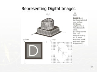 34
Representing Digital Images
 