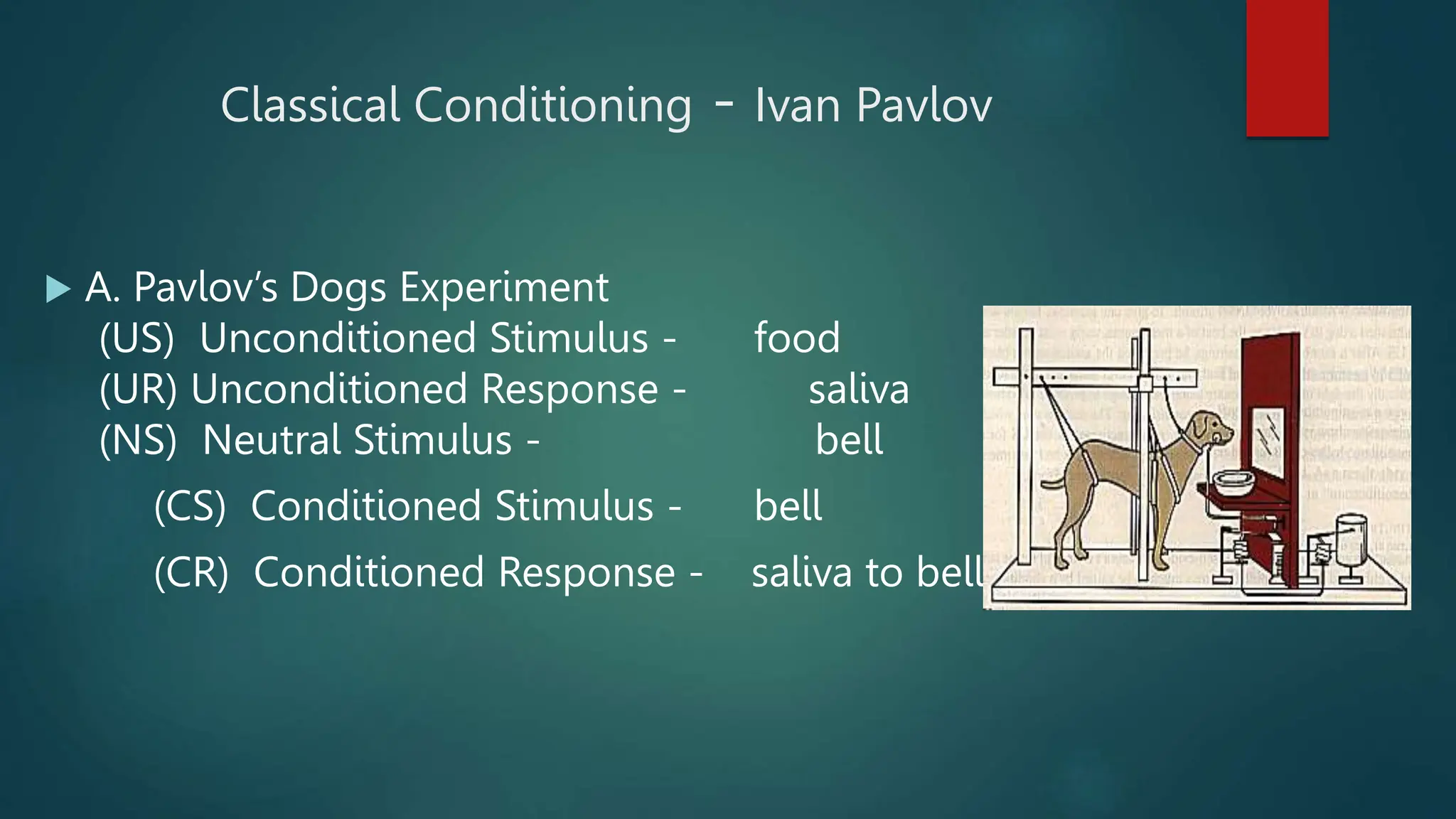 Classical Conditioning - Ivan Pavlov
 A. Pavlov’s Dogs Experiment
(US) Unconditioned Stimulus - food
(UR) Unconditioned Response - saliva
(NS) Neutral Stimulus - bell
(CS) Conditioned Stimulus - bell
(CR) Conditioned Response - saliva to bell
 