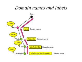 Domain names and labels
 