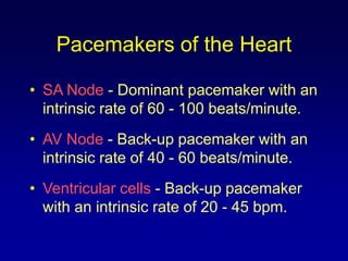 ECG INTRODUCTION LECTURE FOR MEDICAL SCHOOL | PPT