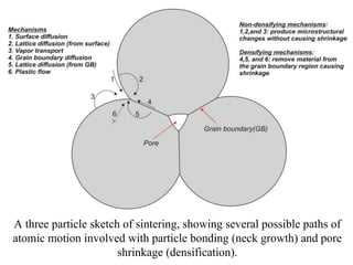 A three particle sketch of sintering, showing several possible paths of
atomic motion involved with particle bonding (neck growth) and pore
shrinkage (densification).
 