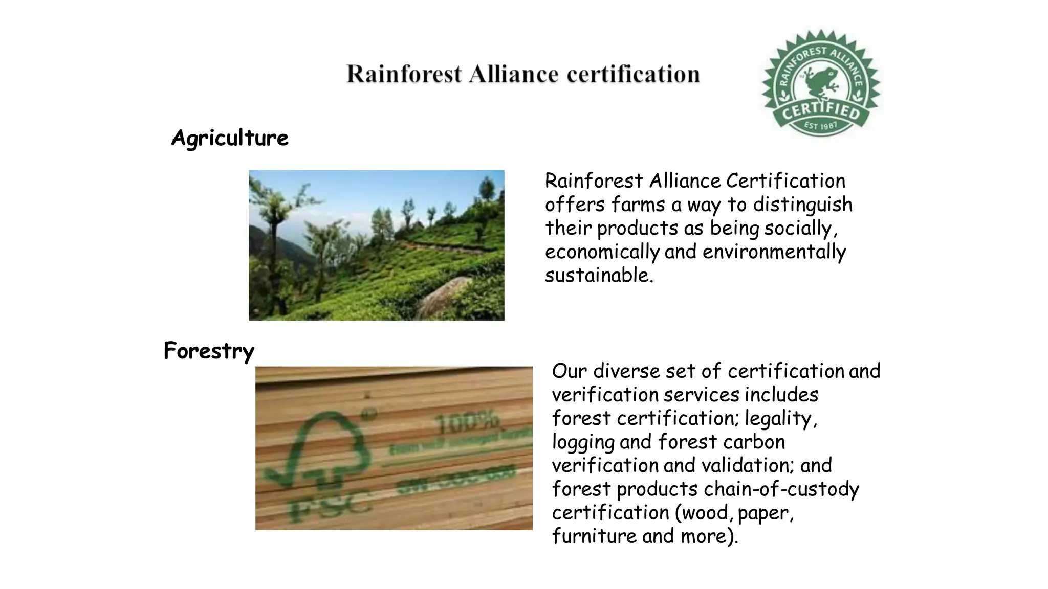 Agriculture
Rainforest Alliance Certification
offers farms a way to distinguish
their products as being socially,
economically and environmentally
sustainable.
Forestry
Our diverse set of certification and
verification services includes
forest certification; legality,
logging and forest carbon
verification and validation; and
forest products chain-of-custody
certification (wood, paper,
furniture and more).
 