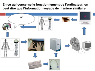 En ce qui concerne le fonctionnement de l’ordinateur, on
peut dire que l’information voyage de manière similaire.
A
A!
 