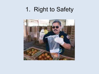 1. Right to Safety
 
