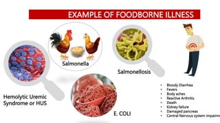 EXAMPLE OF FOODBORNE ILLNESS
Salmonella
Salmonellosis
• Bloody Diarrhea
• Fevers
• Body aches
• Reactive Arthritis
• Death
• Kidney failure
• Damaged pancreas
• Central Nervous system impairme
Hemolytic Uremic
Syndrome or HUS
E. COLI
 