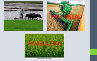 Module 1- konsepto at palatandaan ng pambansang kaunlaran.pptx