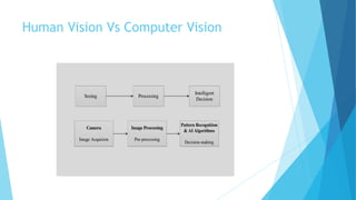Comprehensive Overview of Computer Vision and Digital Image Processing ...