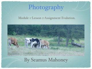 Photography
Module 1-Lesson 2-Assignment Evalution.




    By Seamus Mahoney
 