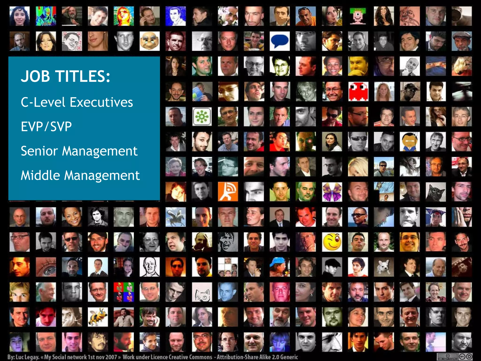 JOB TITLES: C-Level Executives EVP/SVP Senior Management Middle Management 