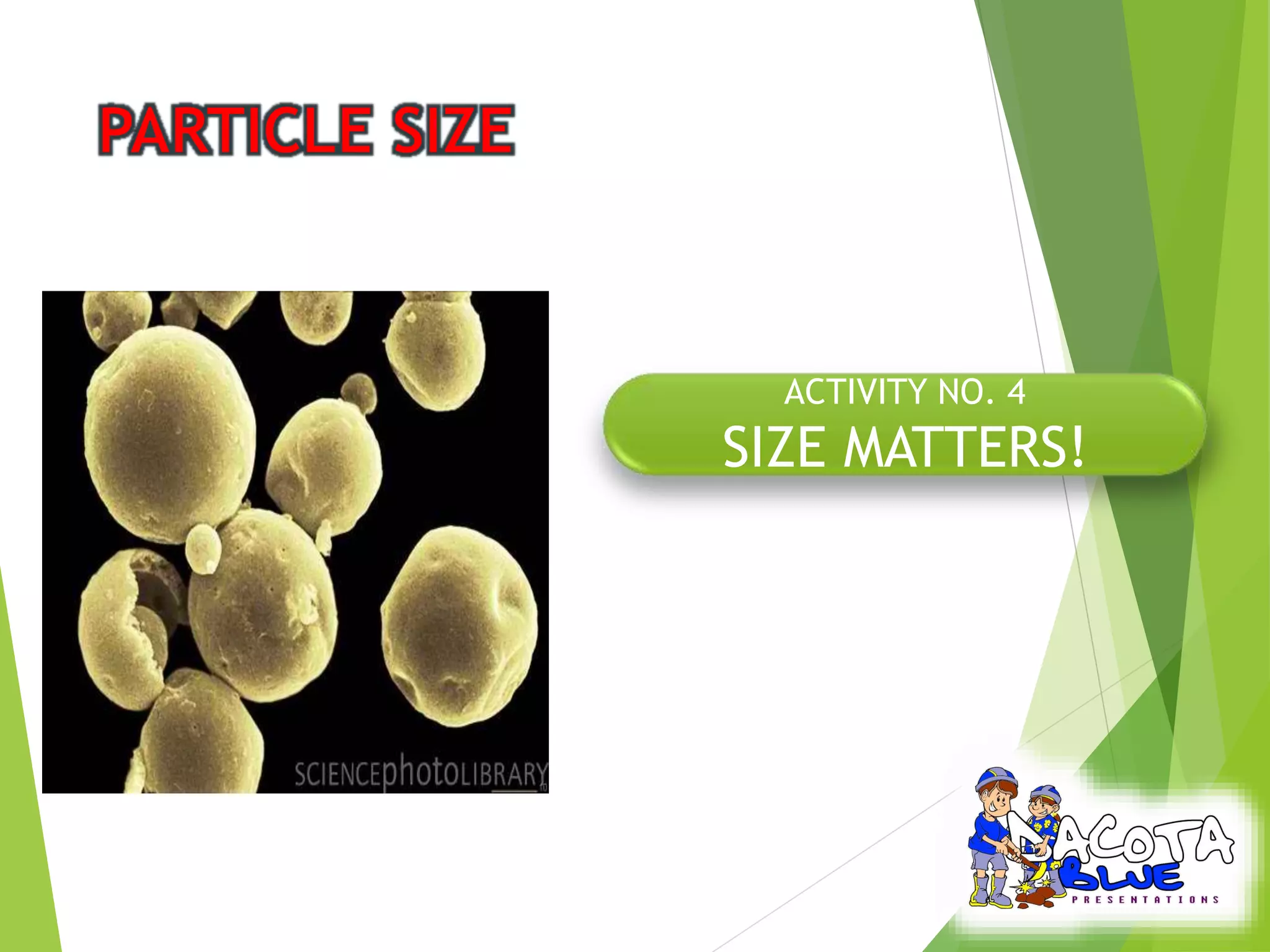 ACTIVITY NO. 4 
SIZE MATTERS! 
 