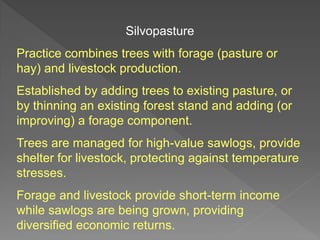 Module 1 Overview Of Agroforestry Powerpoint Presentation | PDF